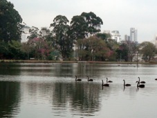 Sao Paulo Ibirapuera